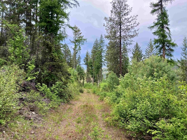 40XX Daisy Mine Rd, Rice, WA 99167