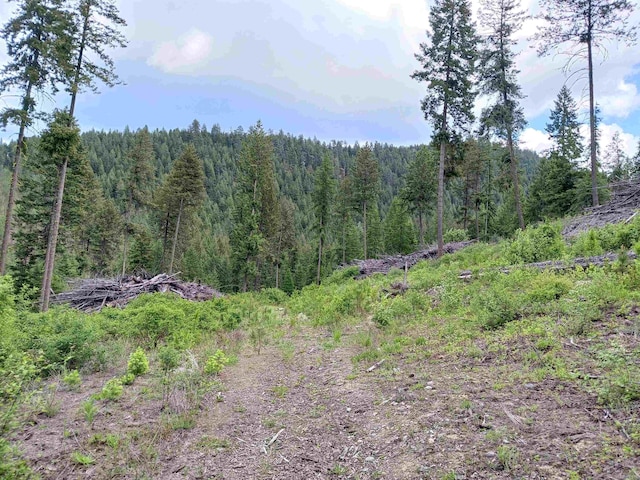 40XX Daisy Mine Rd, Rice, WA 99167