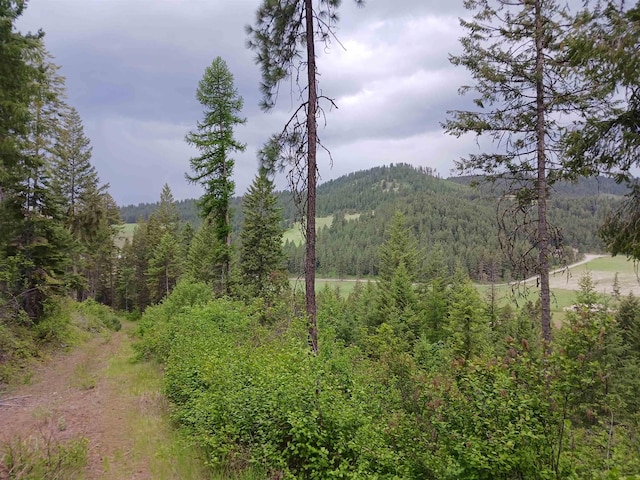 40XX Daisy Mine Rd, Rice, WA 99167