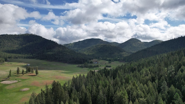 40XX Daisy Mine Rd, Rice, WA 99167