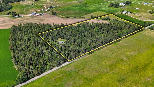 41925 N Grove Rd, Deer Park, WA 99006 - view of rural area with property boundaries highlighted