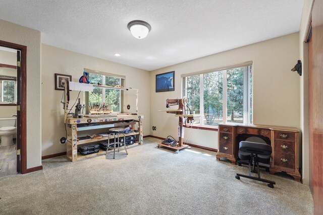 6920 N Harvard Rd, Newman Lake, WA 99025 - photo 27