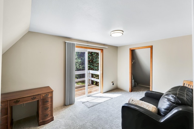 882 Diamond Creek Rd, Newport, WA 99156 - living area featuring carpet and vaulted ceiling
