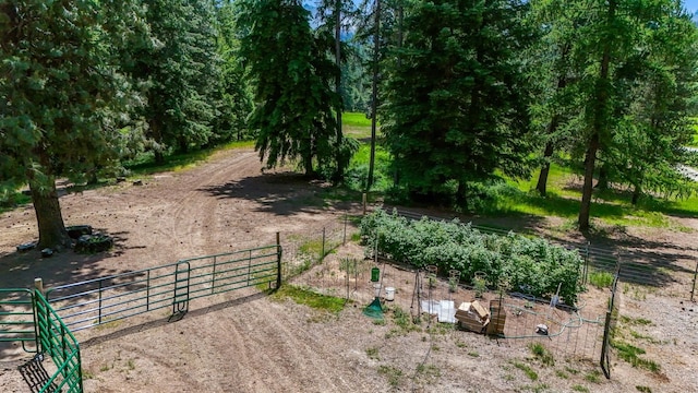 882 Diamond Creek Rd, Newport, WA 99156 - view of yard featuring a gate