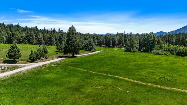 882 Diamond Creek Rd, Newport, WA 99156 - view of community featuring a mountain view and a lawn