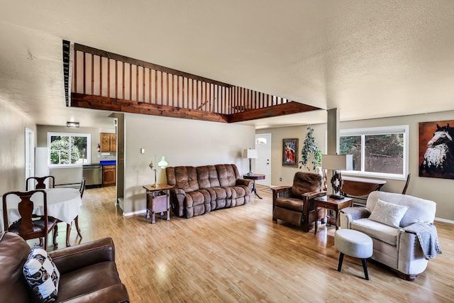 882 Diamond Creek Rd, Newport, WA 99156 - living room with a textured ceiling and light wood-style flooring
