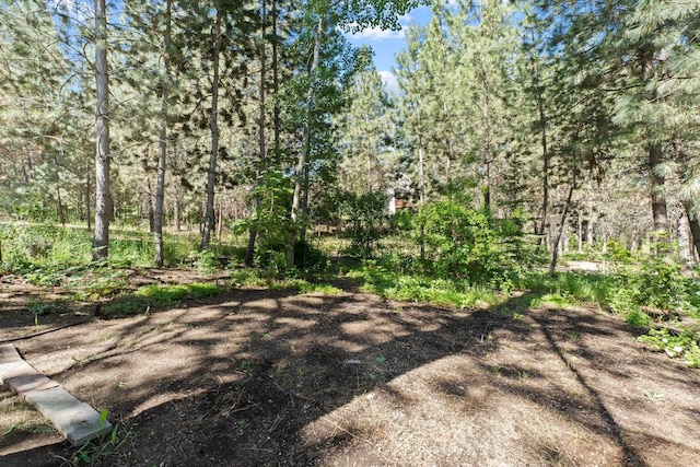 6610 S Echo Ridge St, Spokane, WA 99224 - view of yard