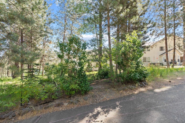 6610 S Echo Ridge St, Spokane, WA 99224 - view of yard