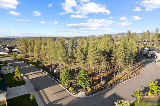 6610 S Echo Ridge St, Spokane, WA 99224 - aerial view of mountains and a heavily wooded area
