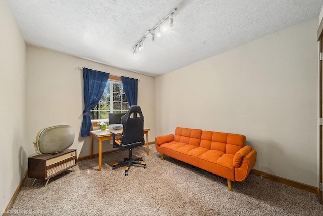 1629 S Royal St, Spokane, WA 99224 - office area featuring carpet, a textured ceiling, and track lighting