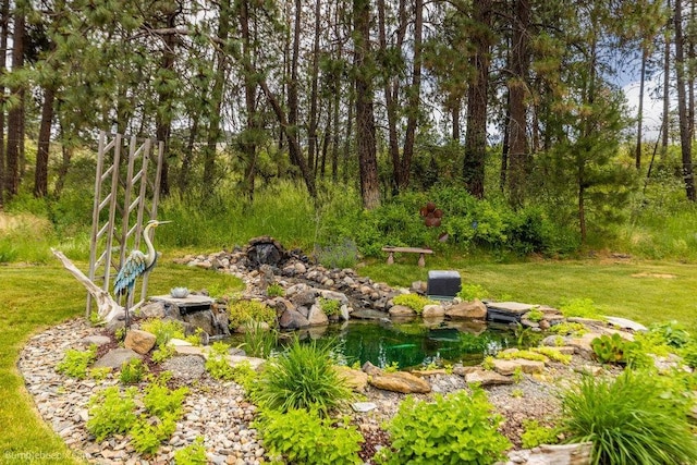1629 S Royal St, Spokane, WA 99224 - view of grassy yard