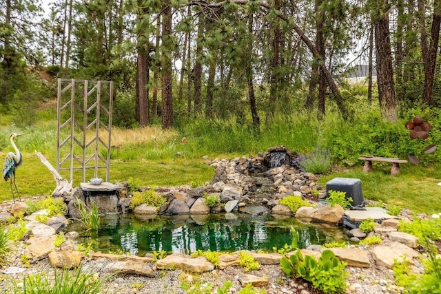 1629 S Royal St, Spokane, WA 99224 - view of yard