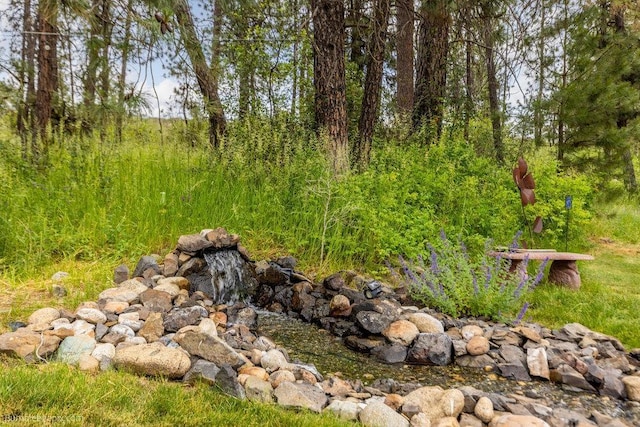 1629 S Royal St, Spokane, WA 99224 - view of yard