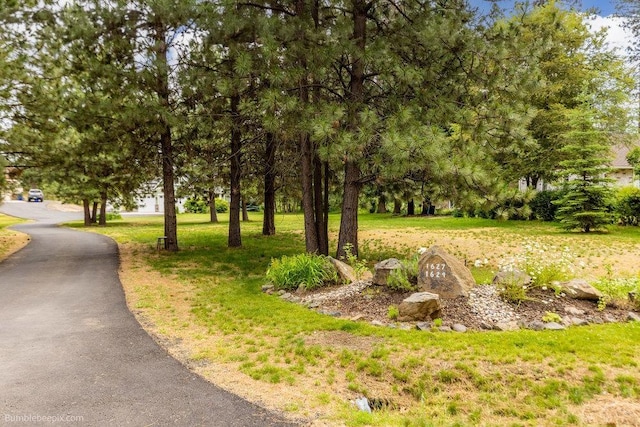 1629 S Royal St, Spokane, WA 99224 - view of property's community featuring asphalt driveway and a lawn