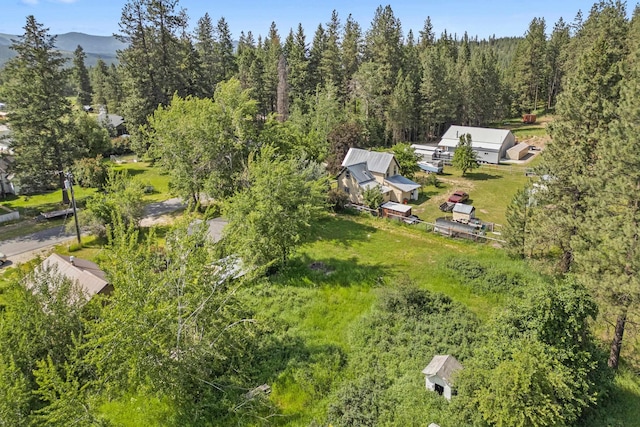 610 N 1st St, Springdale, WA 99173 - aerial view of property and surrounding area with a heavily wooded area