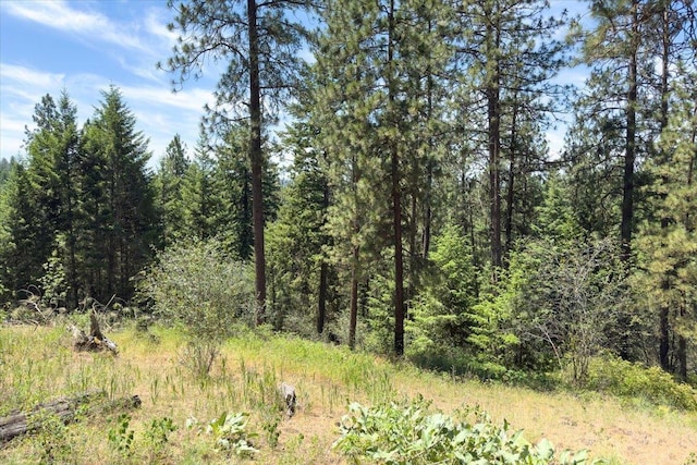 12710 E Kronquist Rd, Mead, WA 99021 - view of tree filled area