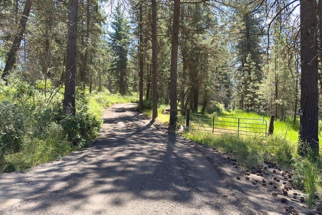 12710 E Kronquist Rd, Mead, WA 99021 - view of street with a view of trees