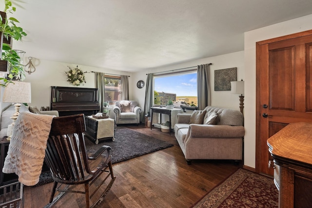25210 E Bradshaw Rd, Fairfield, WA 99012 - living room featuring dark wood finished floors