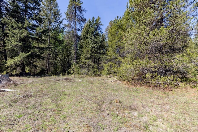 271 Deer Valley Ln, Newport, WA 99156 - photo 13