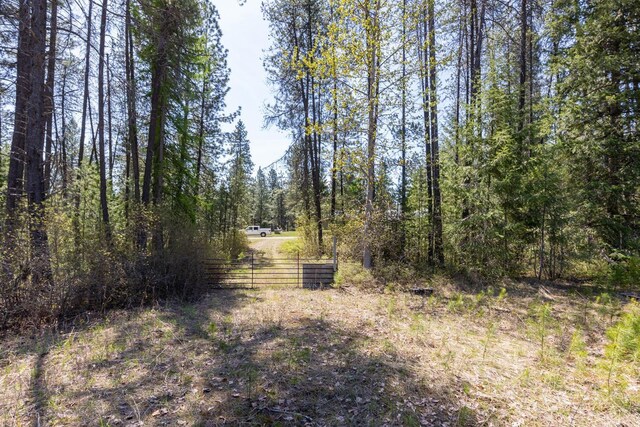 271 Deer Valley Ln, Newport, WA 99156 - photo 7