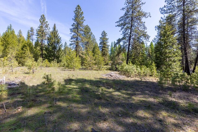 271 Deer Valley Ln, Newport, WA 99156 - photo 9