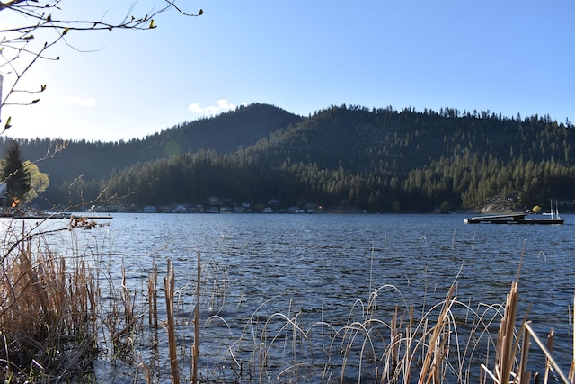 TBD E Deer Lake Way, Loon Lake, WA 99148