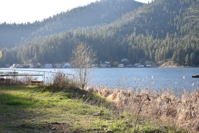 TBD E Deer Lake Way, Loon Lake, WA 99148