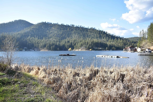 TBD E Deer Lake Way, Loon Lake, WA 99148