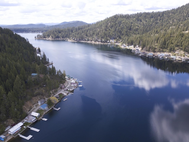 TBD E Deer Lake Way, Loon Lake, WA 99148