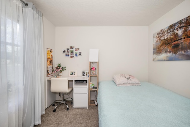14520 E Everett Ct, Spokane Valley, WA 99216 - bedroom with carpet floors and a desk