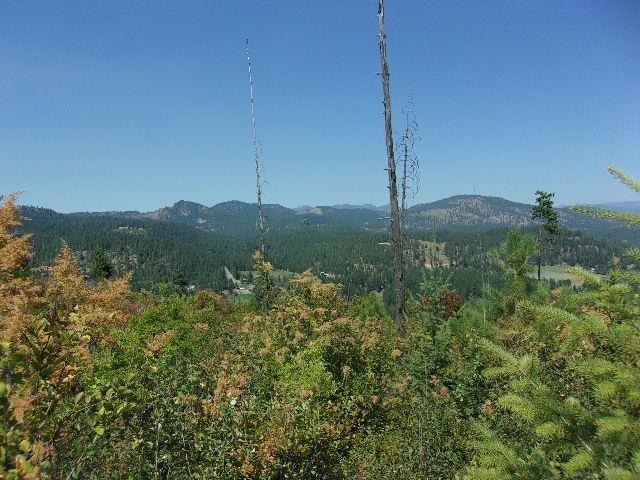 XX Hoag Rd, Valley, WA 99181 - photo 11