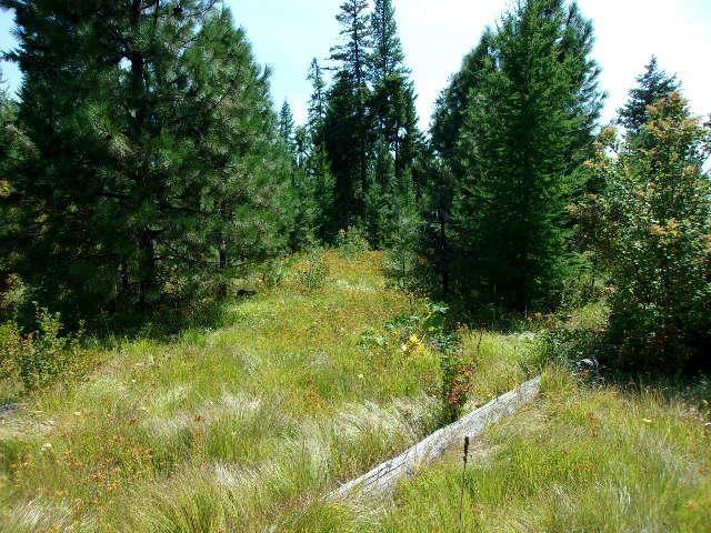 XX Hoag Rd, Valley, WA 99181 - photo 3