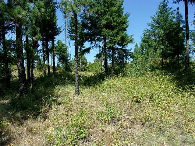 XX Hoag Rd, Valley, WA 99181 - photo 7