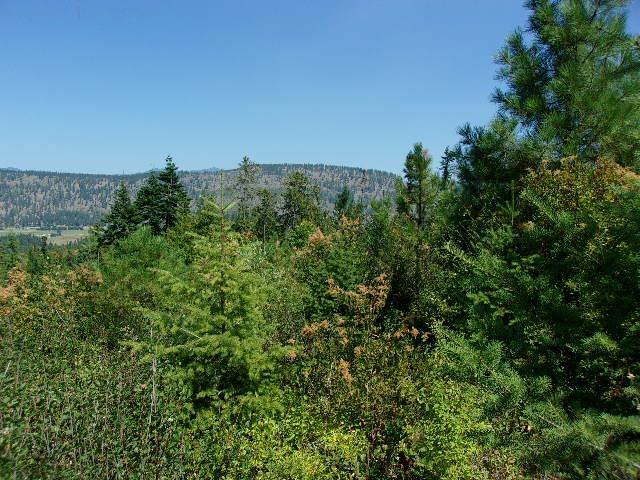 XX Hoag Rd, Valley, WA 99181 - photo 9