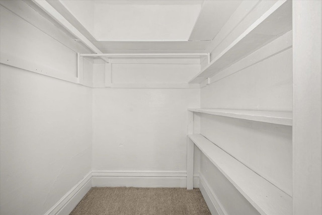 2003 W Mallon Ave, Spokane, WA 99201 - walk in closet with carpet