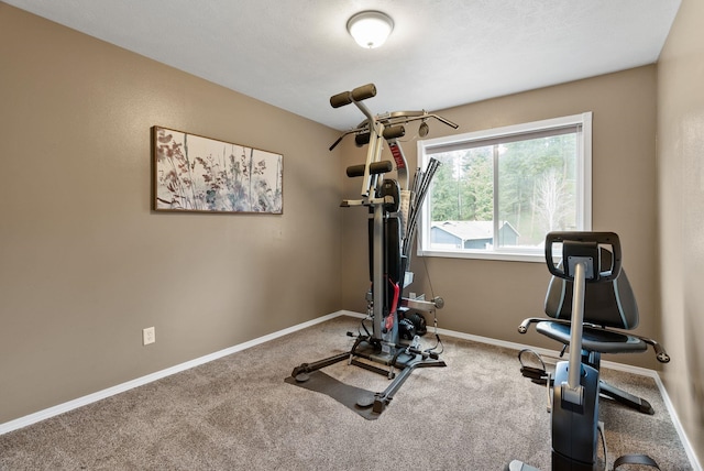 5981 Blackstone Way, Nine Mile Falls, WA 99026 - workout area with baseboards and carpet floors