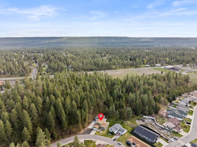 5981 Blackstone Way, Nine Mile Falls, WA 99026 - aerial overview of property's location with a forest