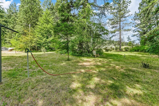 11 E Camden Rd, Elk, WA 99009 - view of green lawn
