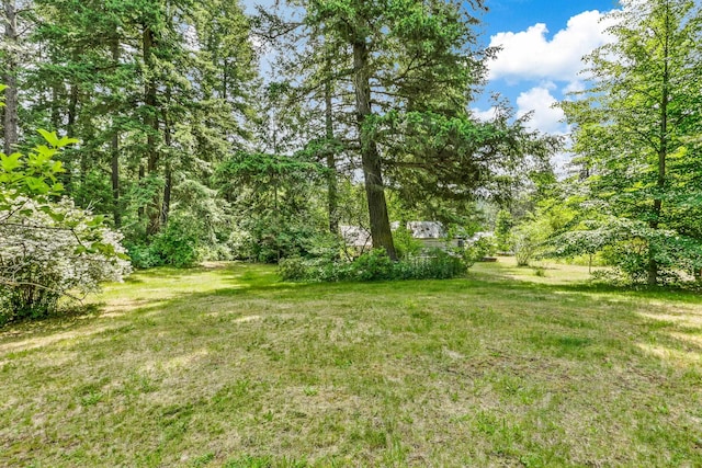 11 E Camden Rd, Elk, WA 99009 - view of green lawn