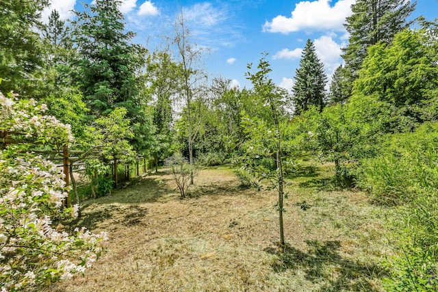 11 E Camden Rd, Elk, WA 99009 - view of local wilderness