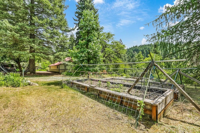 11 E Camden Rd, Elk, WA 99009 - view of grassy yard with a garden