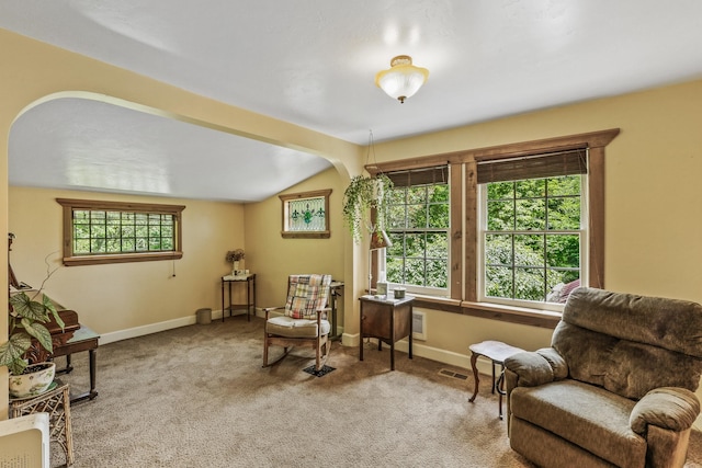 11 E Camden Rd, Elk, WA 99009 - living area featuring carpet, vaulted ceiling, and arched walkways