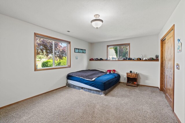 5409 N Malvern Rd, Otis Orchards, WA 99027 - photo 29