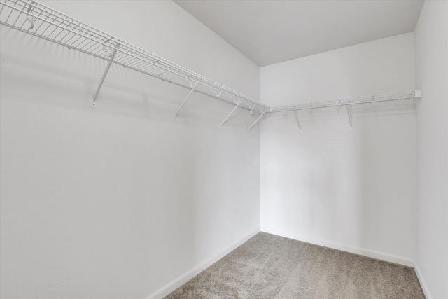7316 S Dour St, Cheney, WA 99004 - walk in closet with carpet