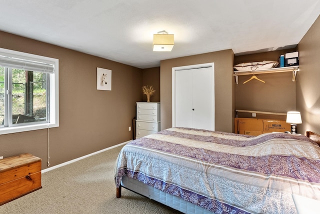 15007 W Willynwood Ln, Nine Mile Falls, WA 99026 - carpeted bedroom featuring baseboards and a closet