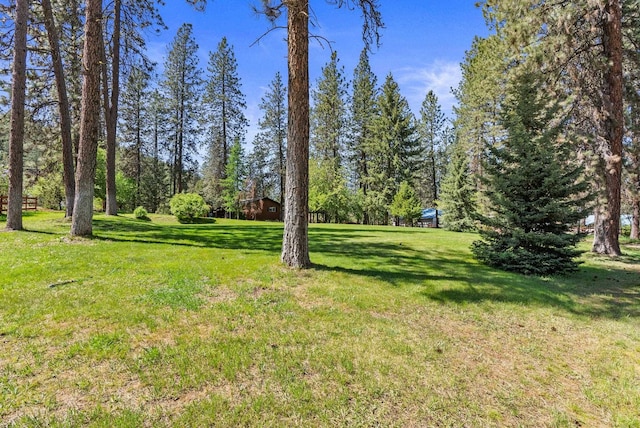 15007 W Willynwood Ln, Nine Mile Falls, WA 99026 - view of grassy yard