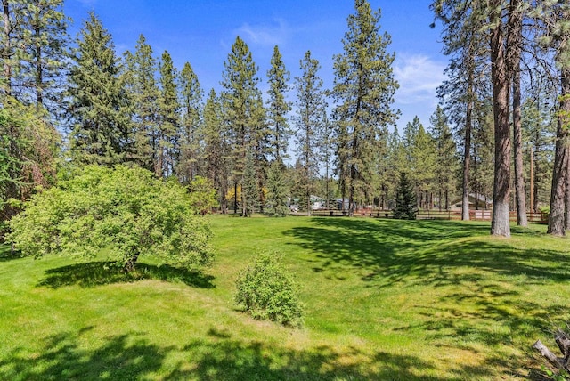 15007 W Willynwood Ln, Nine Mile Falls, WA 99026 - view of yard