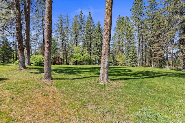 15007 W Willynwood Ln, Nine Mile Falls, WA 99026 - view of green lawn