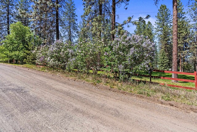 15007 W Willynwood Ln, Nine Mile Falls, WA 99026 - view of dirt / gravel road