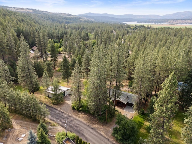 15007 W Willynwood Ln, Nine Mile Falls, WA 99026 - aerial view of property's location with a mountainous background